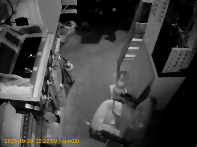 thumbnail_202510200822
