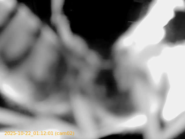 20251022011201