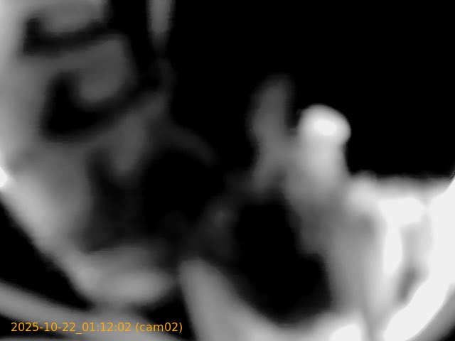 20251022011202