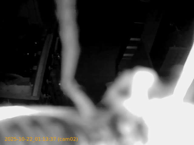 thumbnail_20251022011337