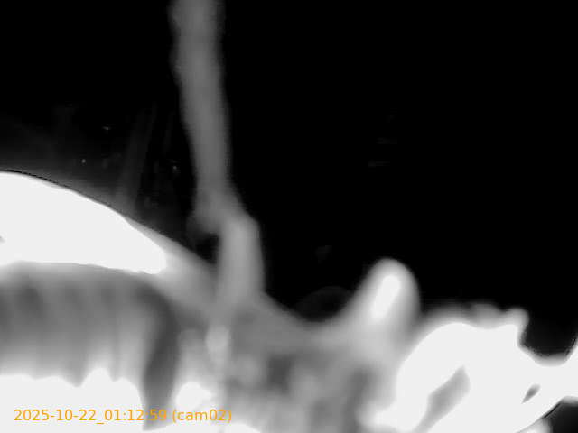 thumbnail_202510220112