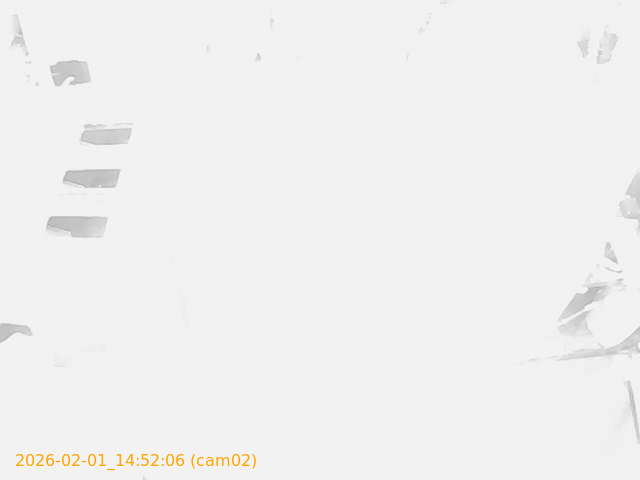 thumbnail_20260201145206