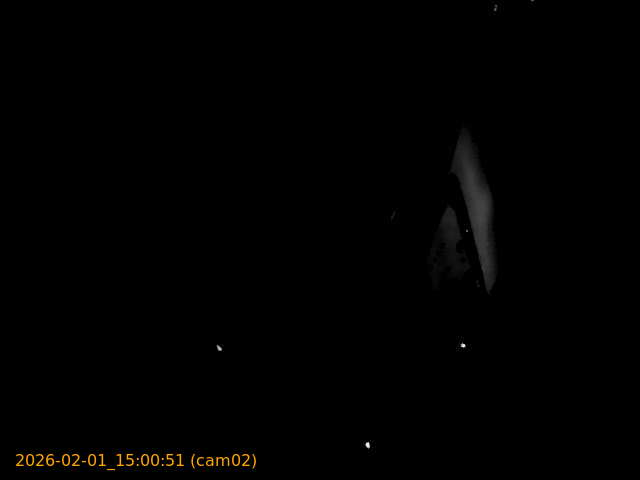 thumbnail_20260201150051