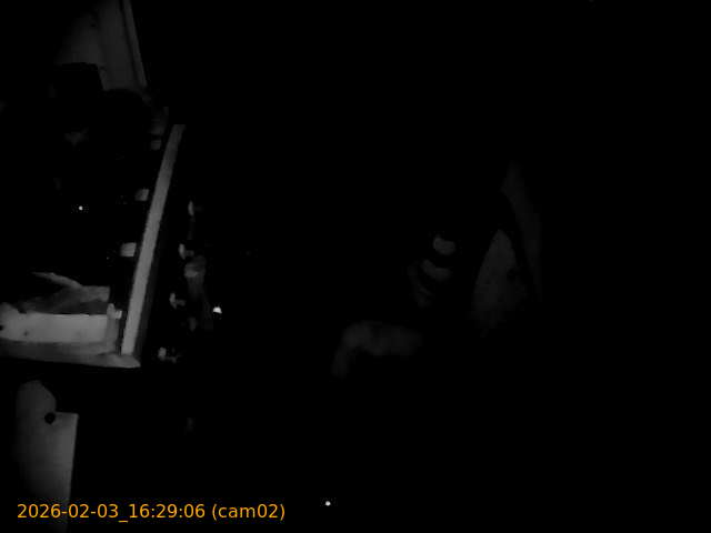 thumbnail_20260203162906