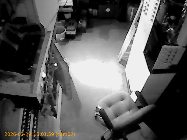 thumbnail_202603191301