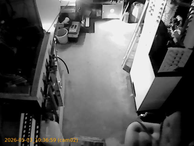 202605031036
