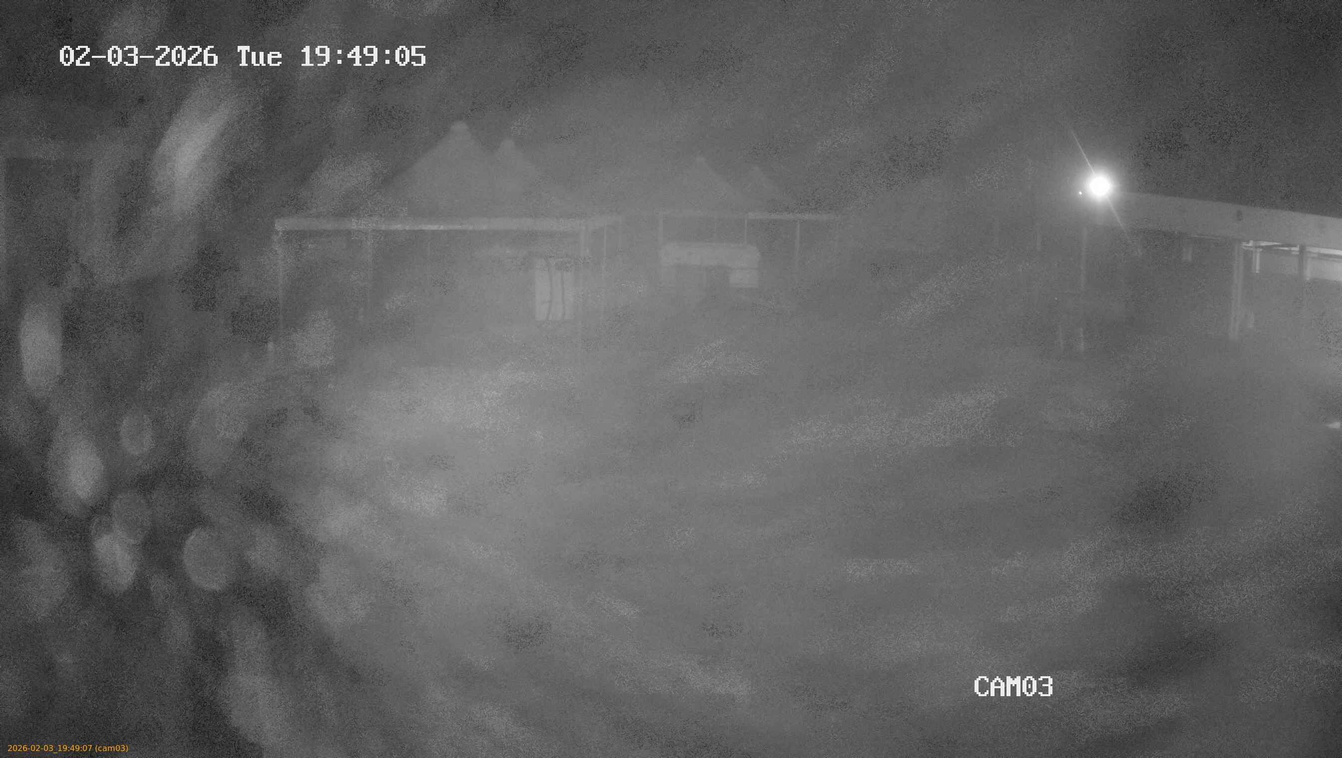 thumbnail_20260203194907