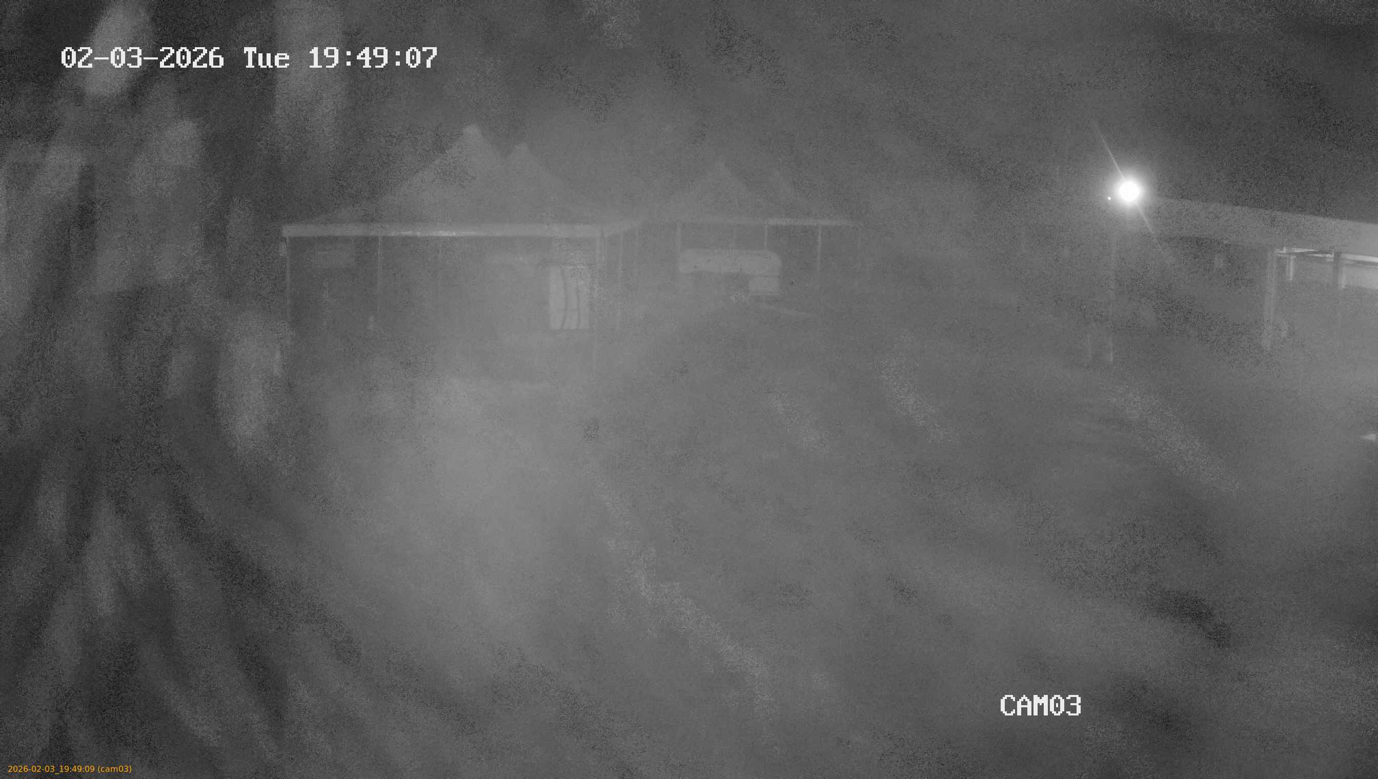 thumbnail_20260203194909