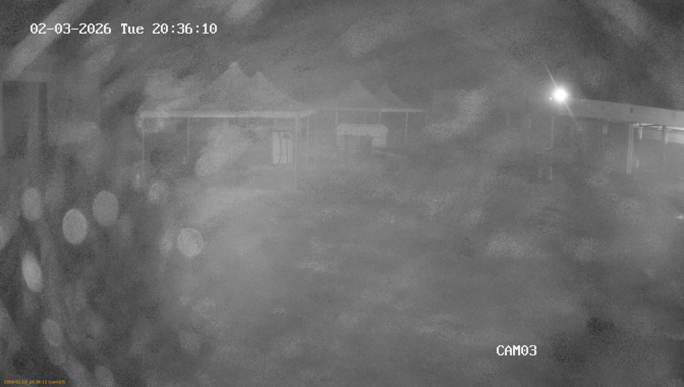 thumbnail_20260203203611