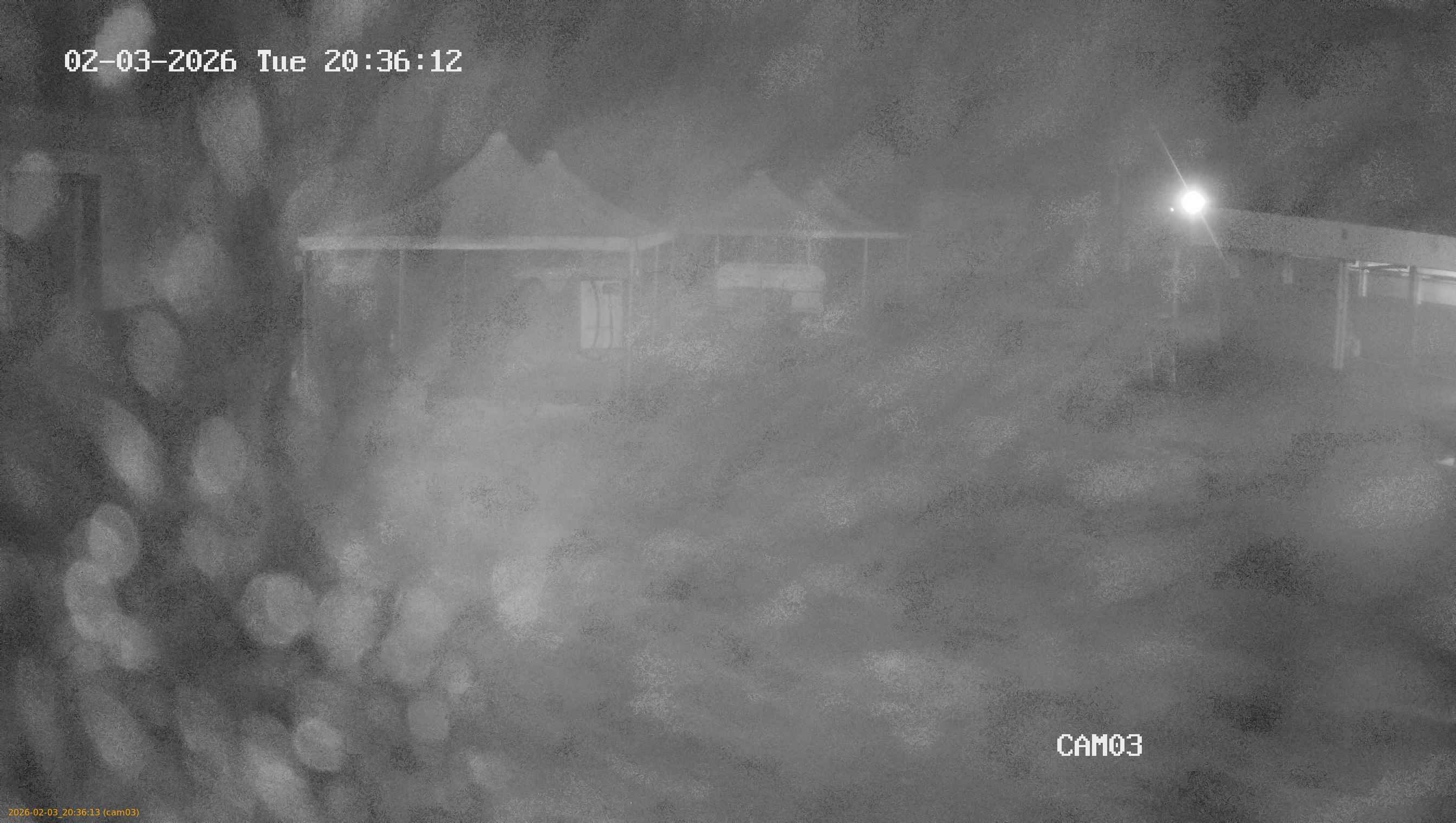 thumbnail_20260203203613