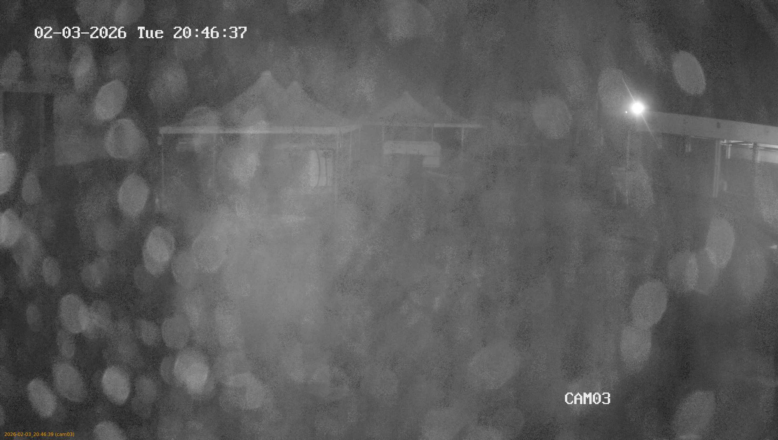 thumbnail_20260203204639