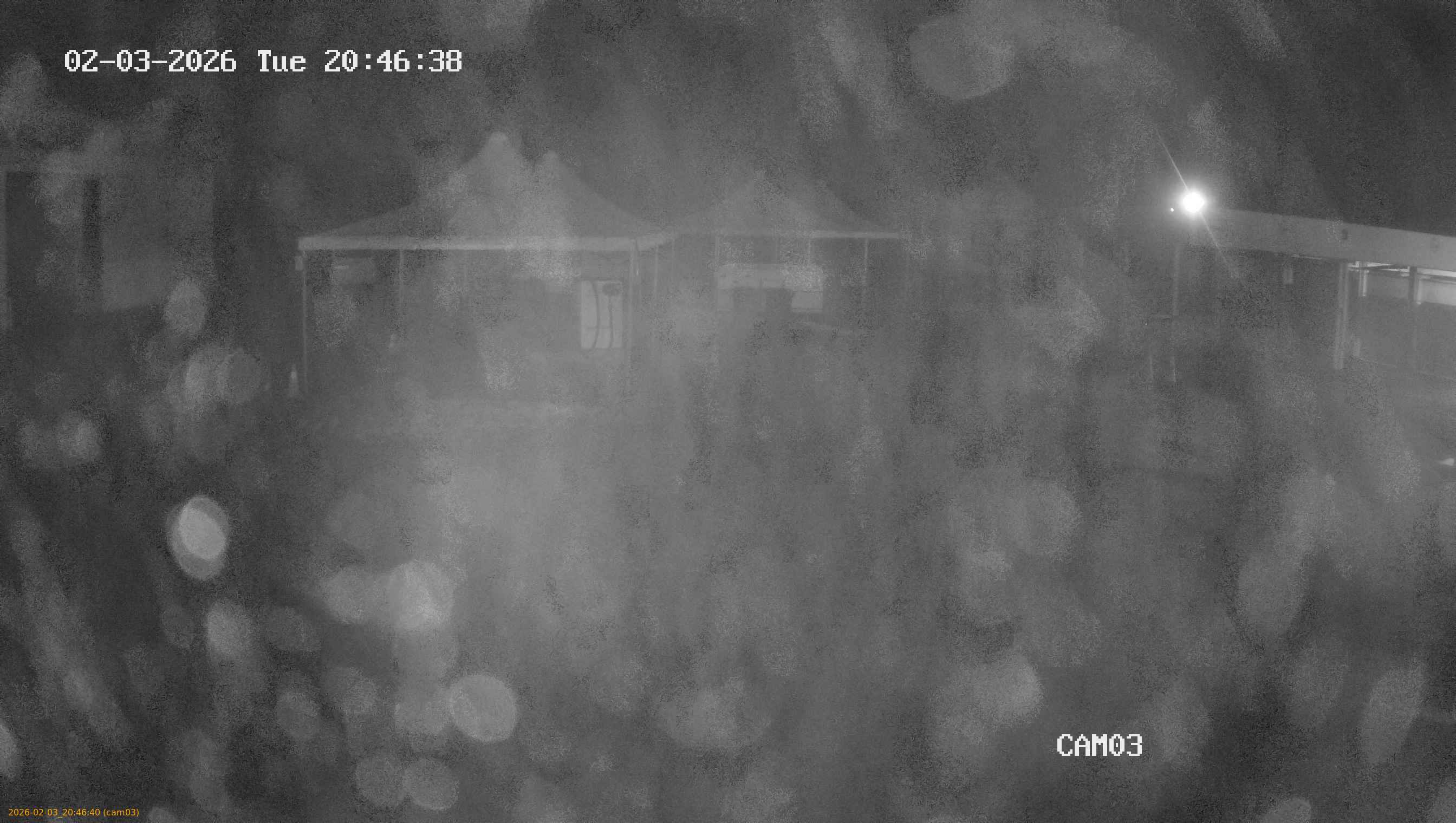 thumbnail_20260203204640