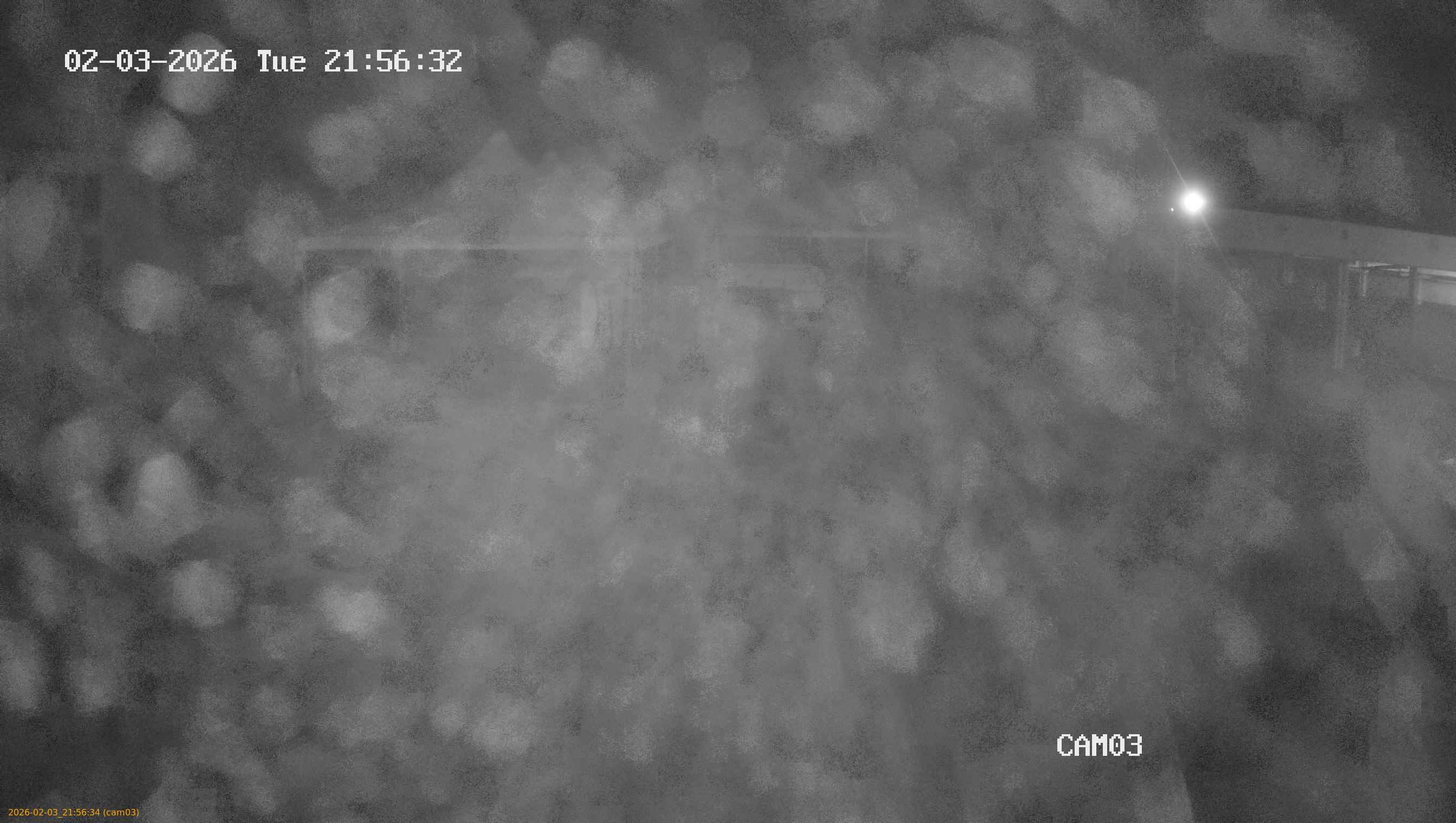 thumbnail_20260203215634