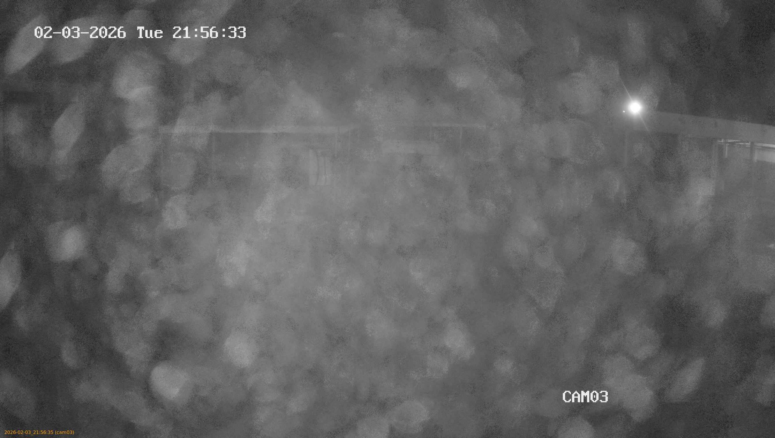 thumbnail_20260203215635