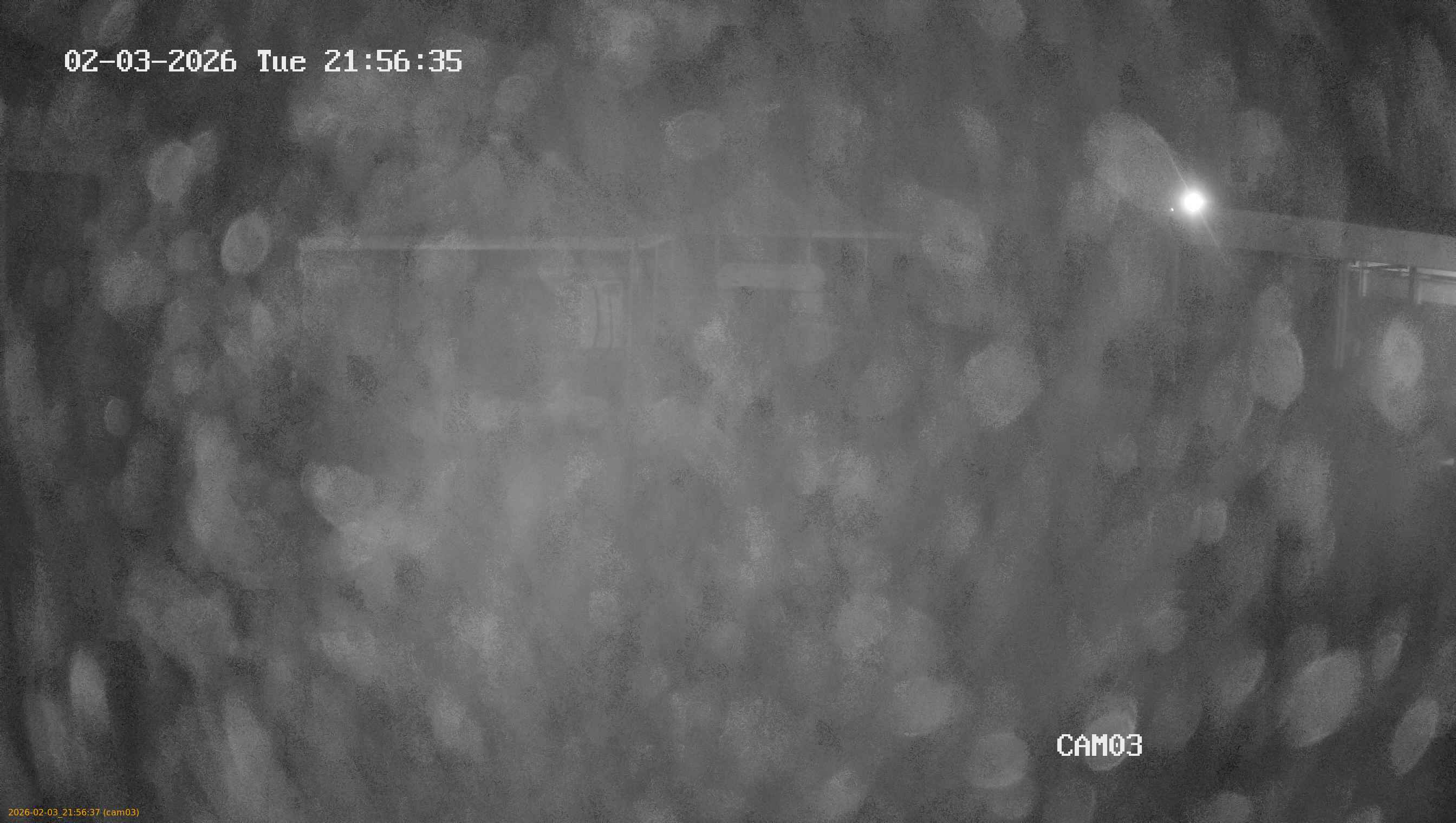 thumbnail_20260203215637