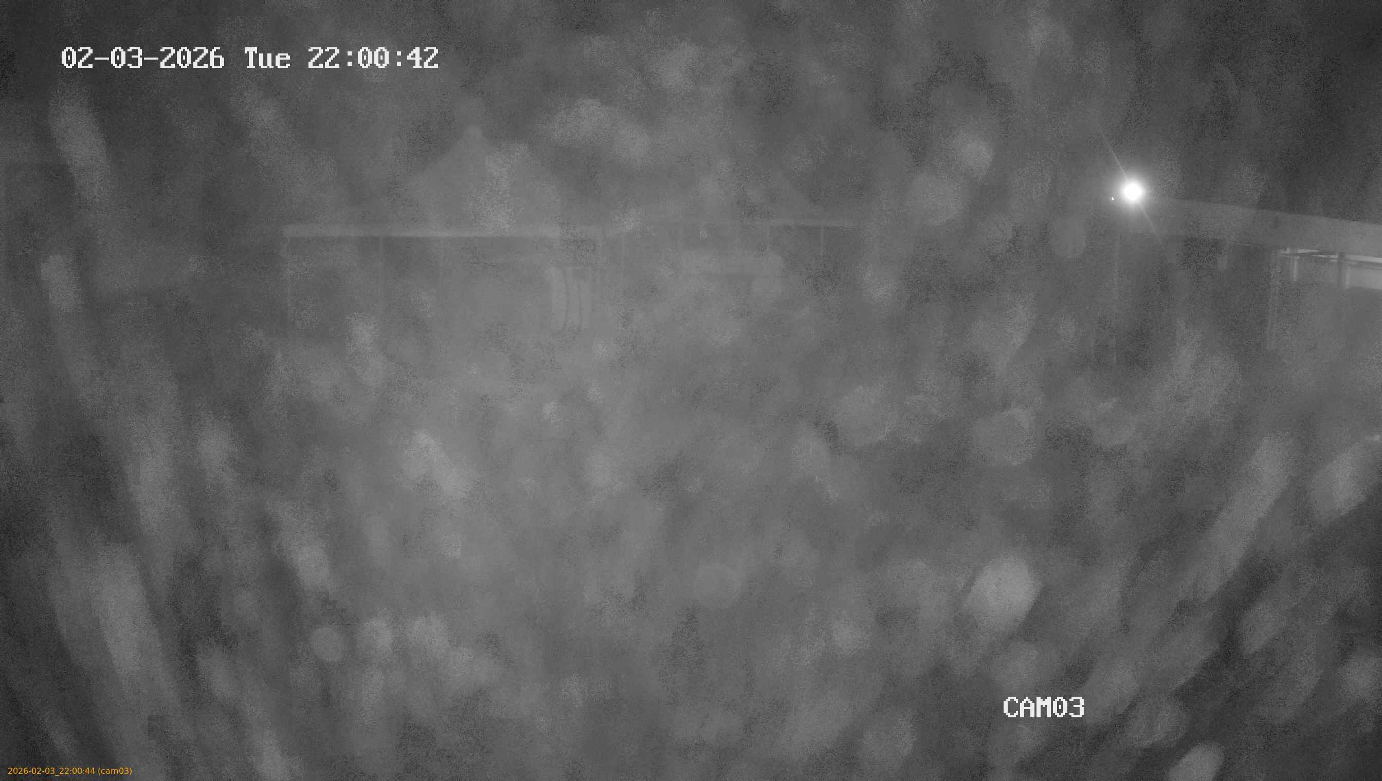 thumbnail_20260203220044