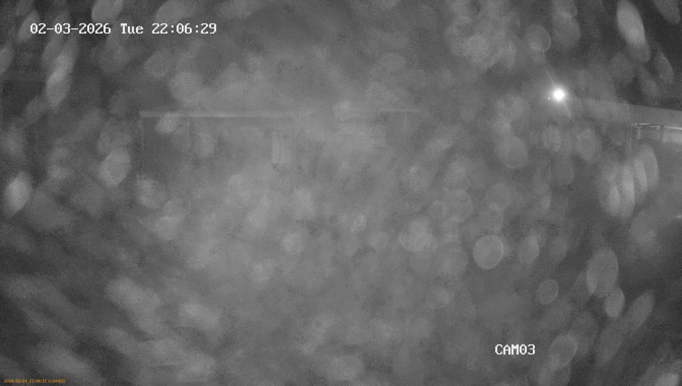 thumbnail_20260203220631