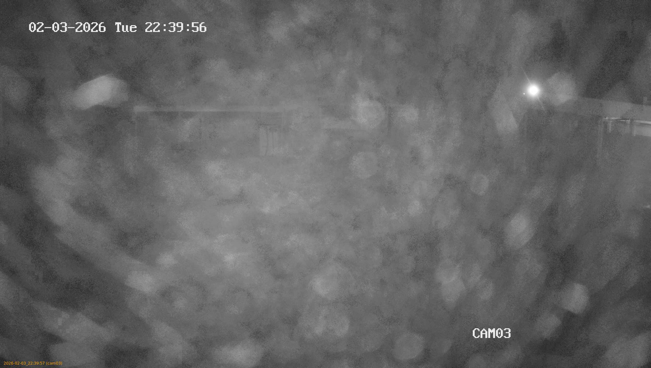 thumbnail_20260203223957