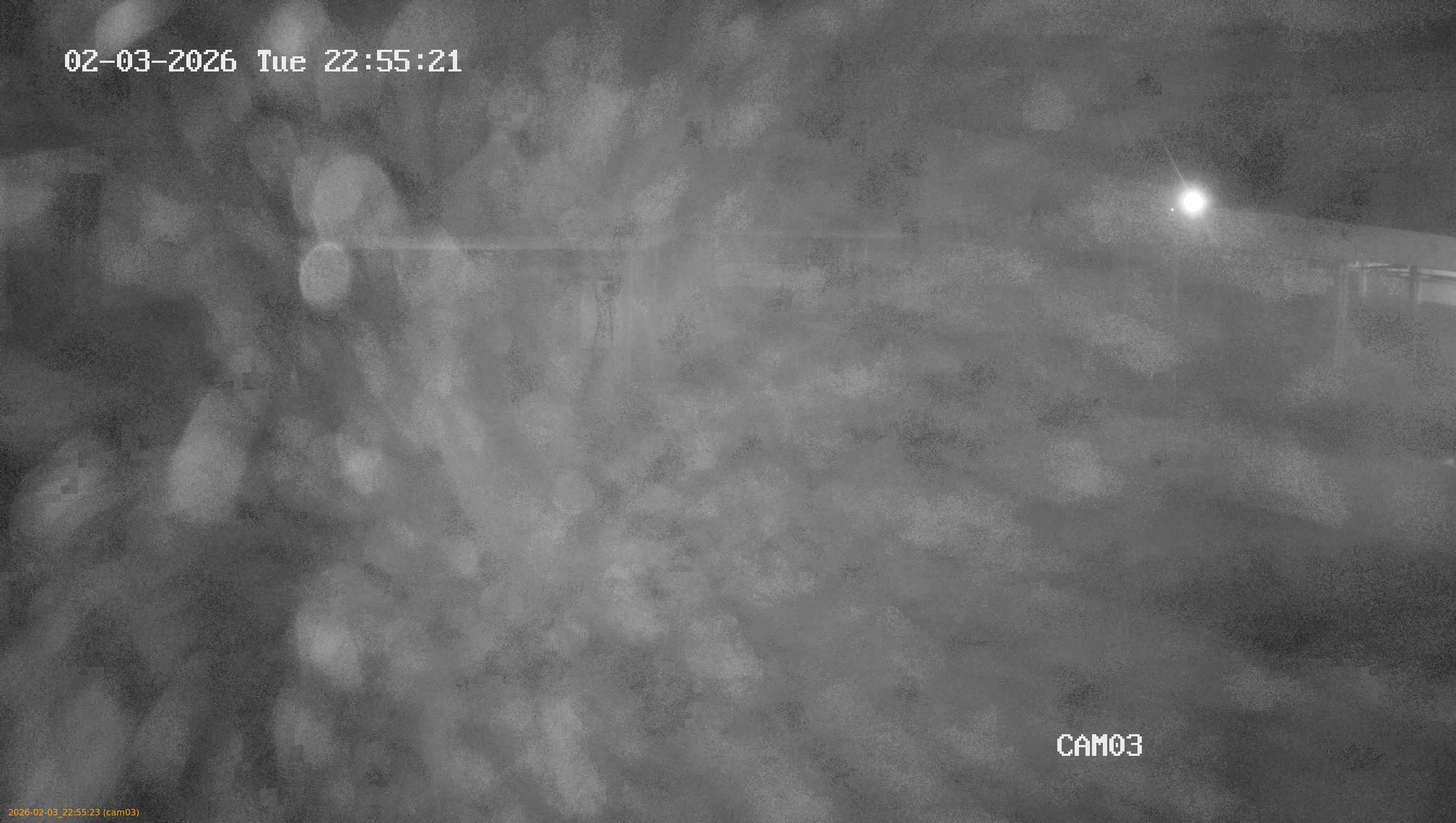 thumbnail_20260203225523