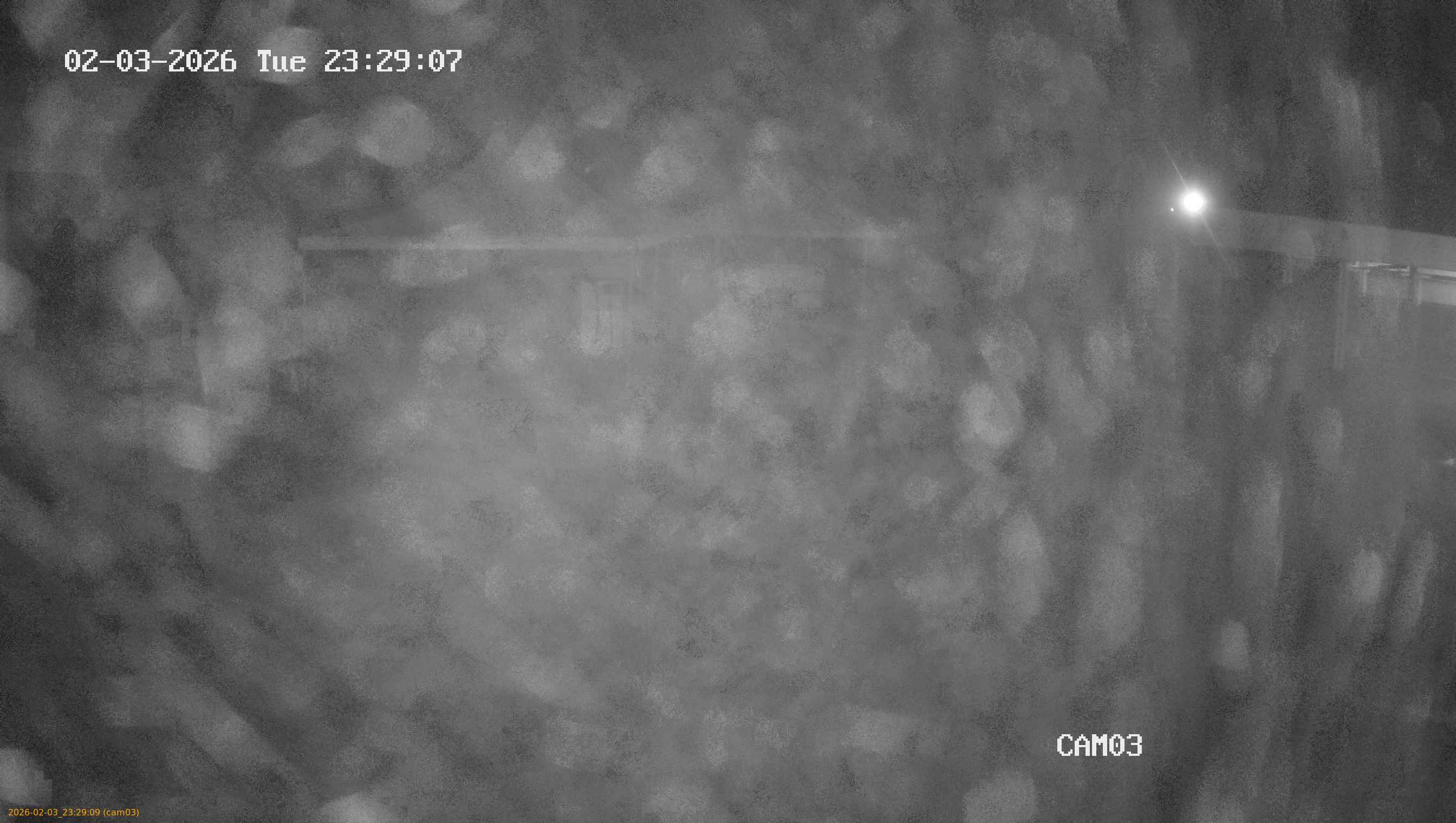 thumbnail_20260203232909