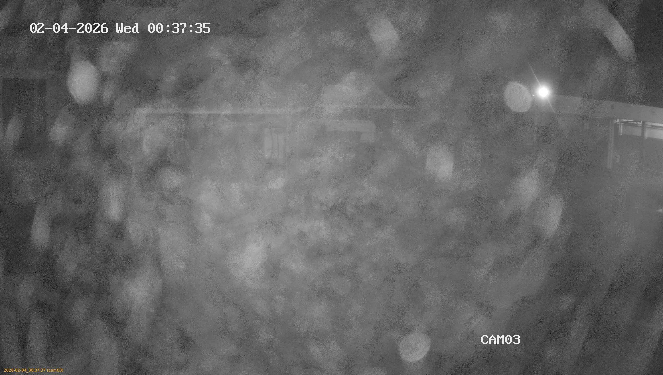 thumbnail_20260204003737