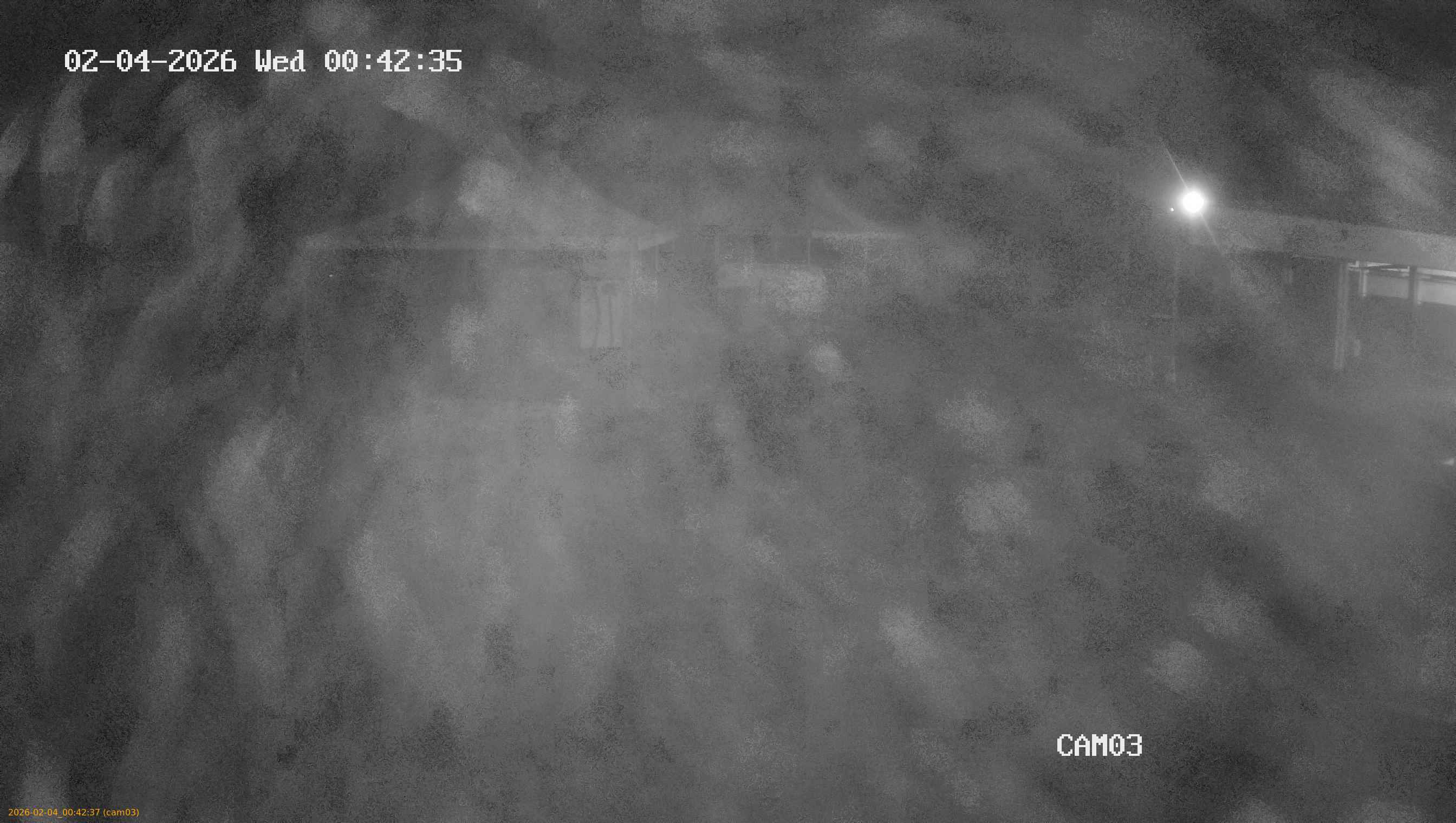 thumbnail_20260204004237