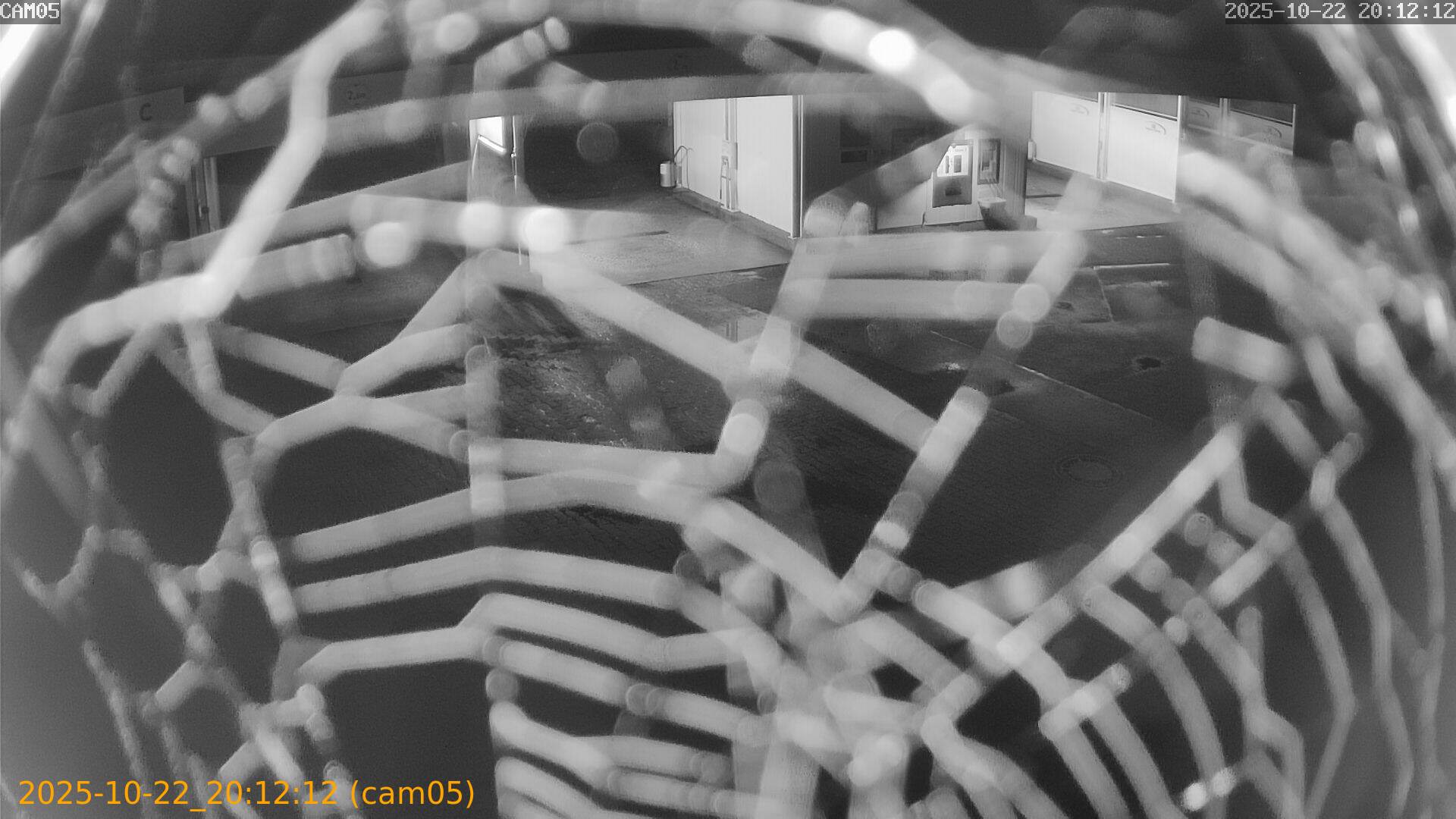thumbnail_20251022201212