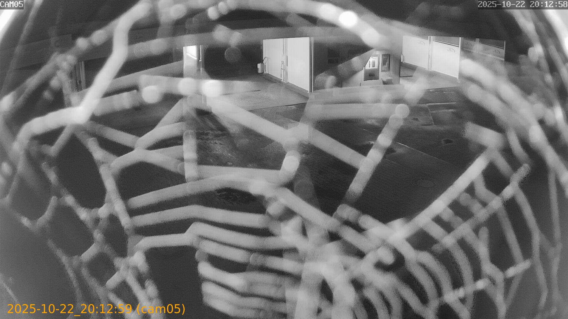 thumbnail_202510222012