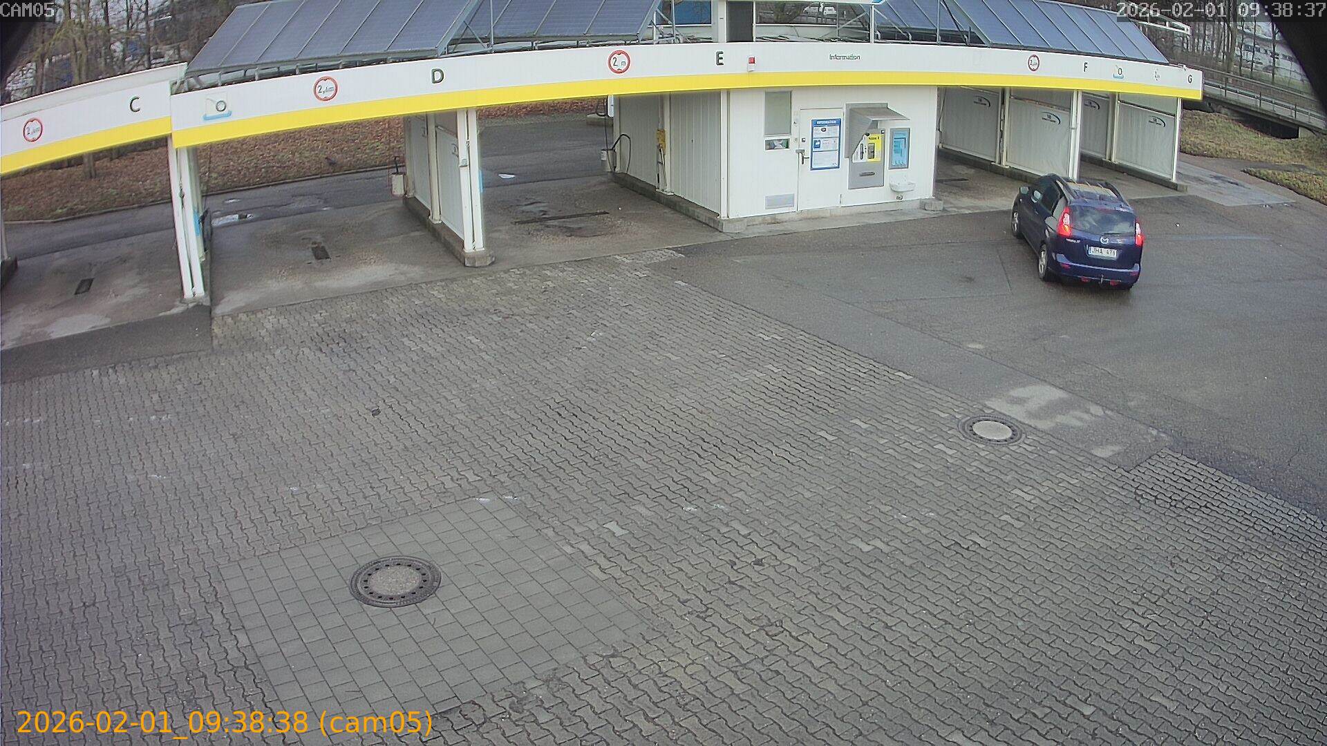 thumbnail_20260201093838