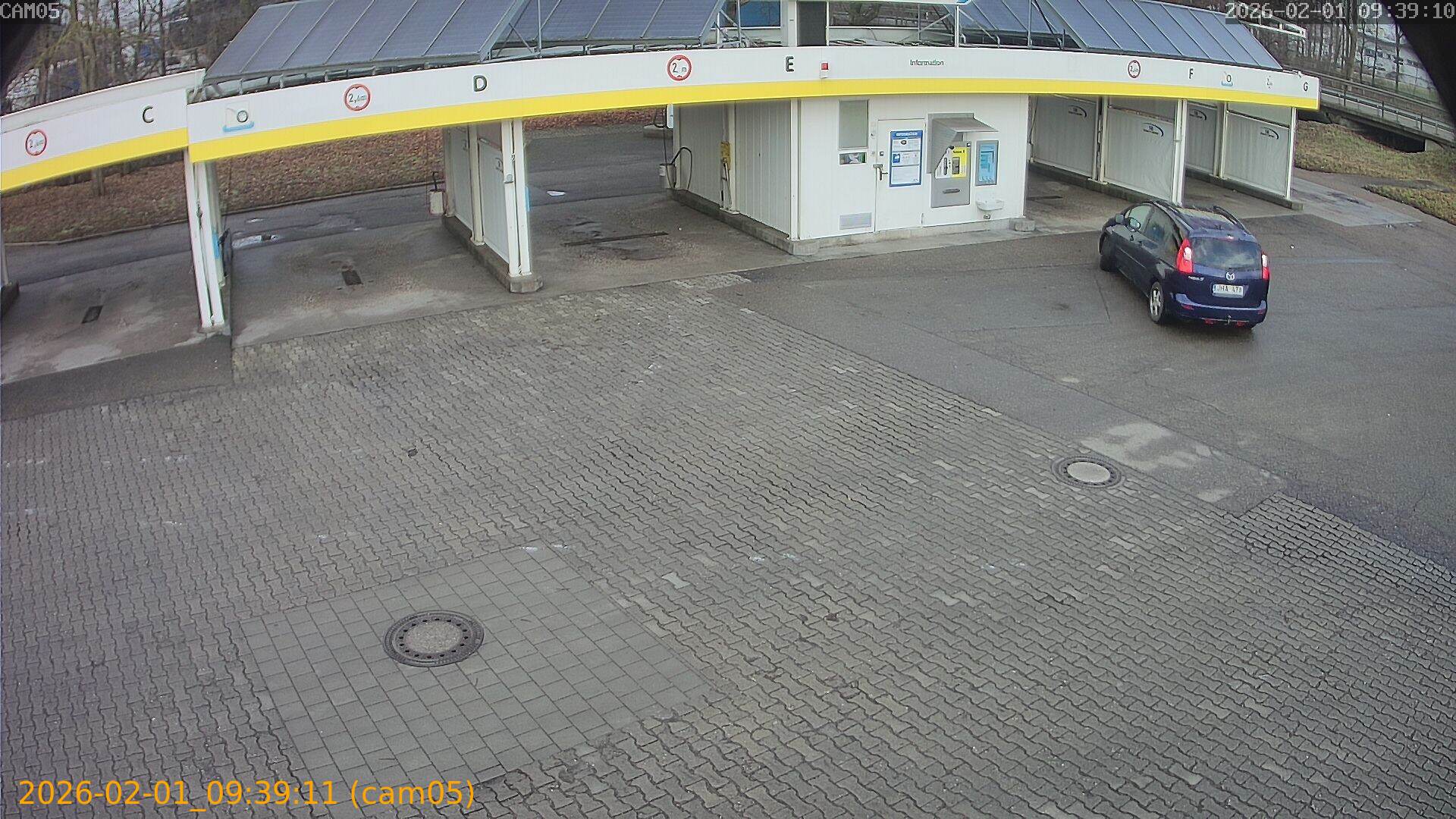 thumbnail_20260201093911