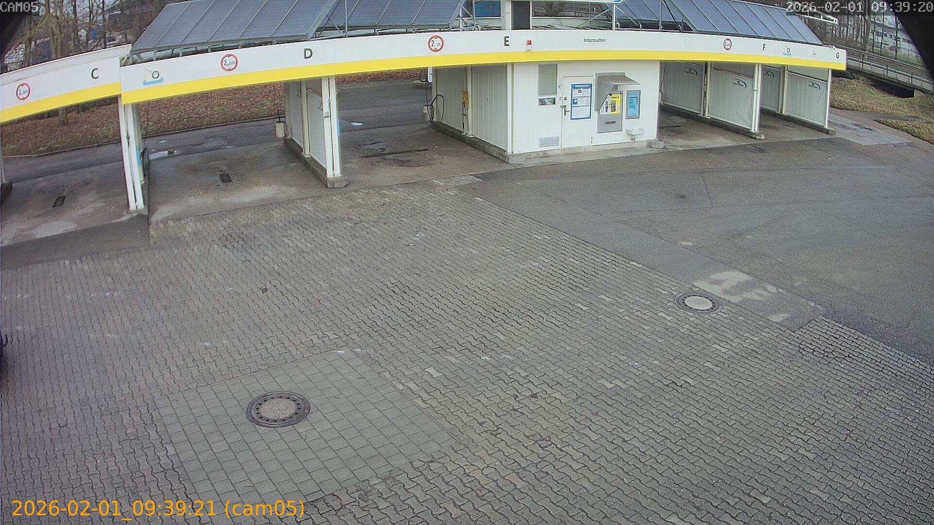 thumbnail_20260201093921