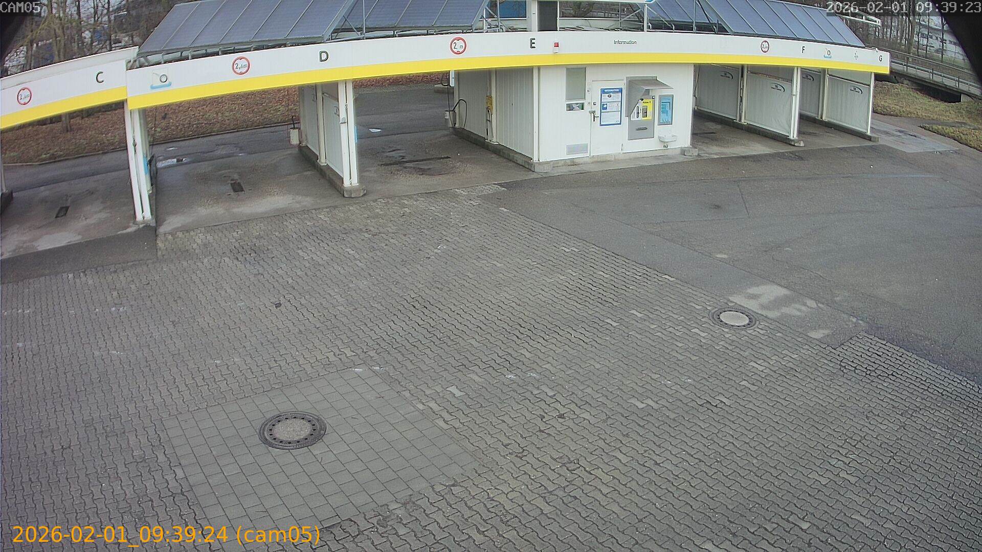 thumbnail_20260201093924