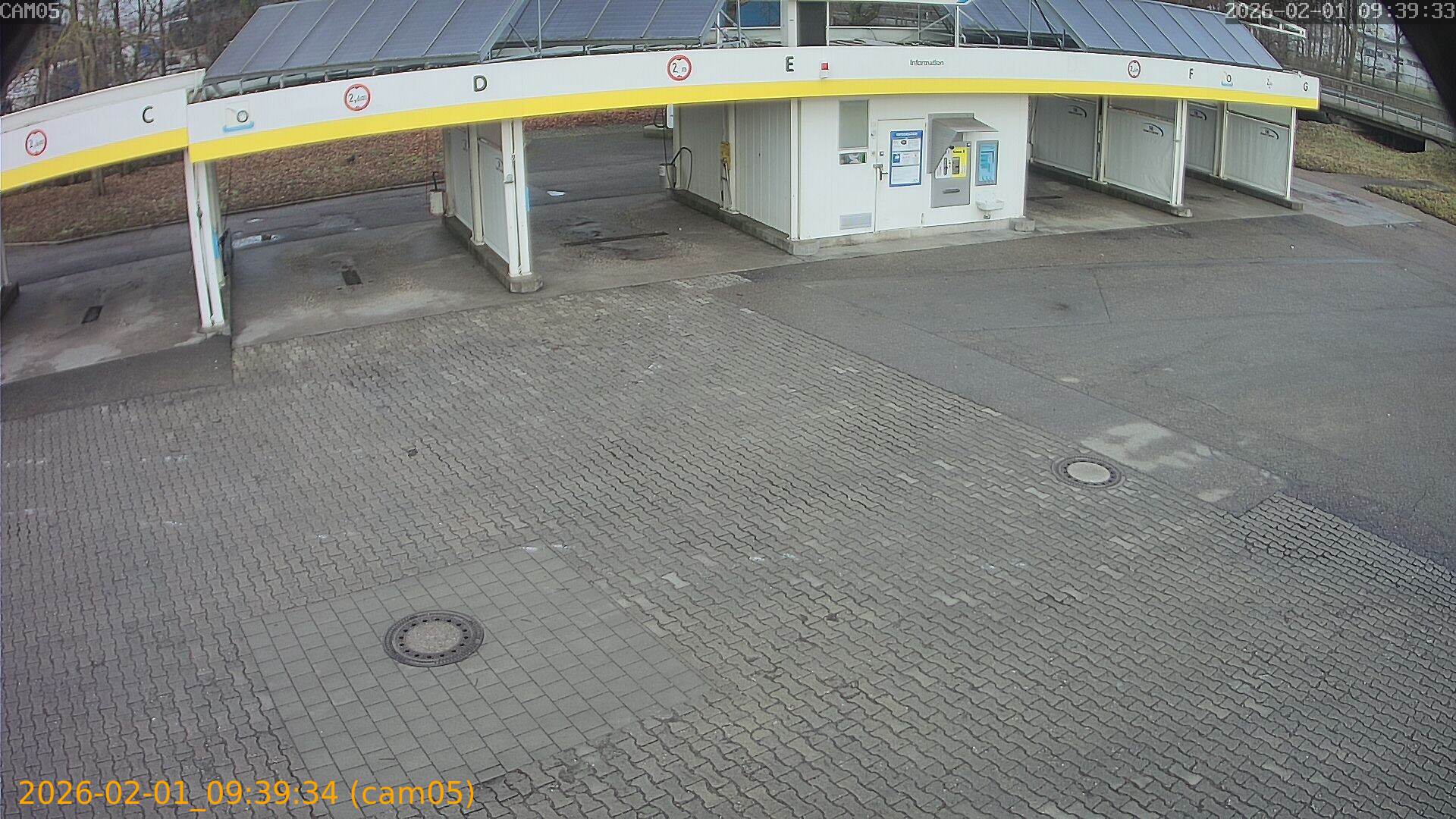 thumbnail_20260201093934