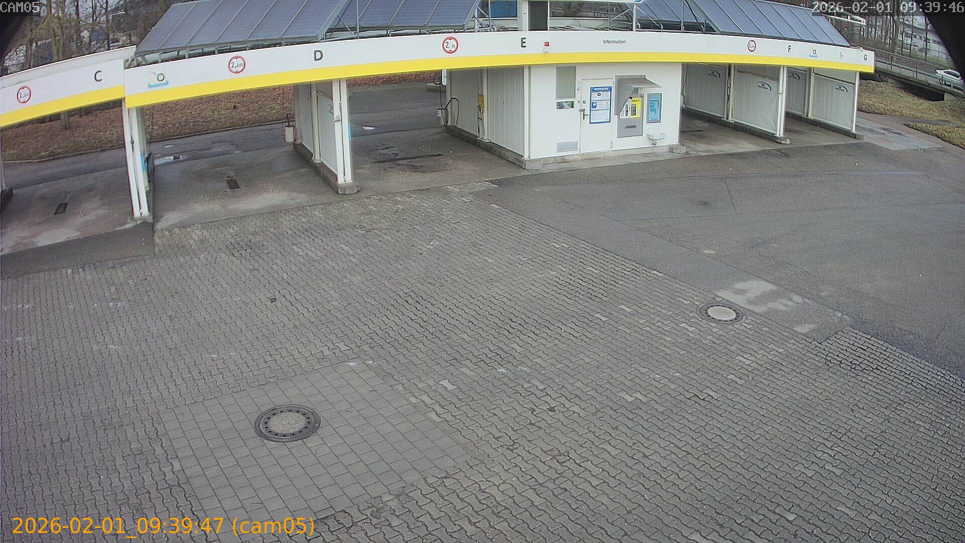 thumbnail_20260201093947