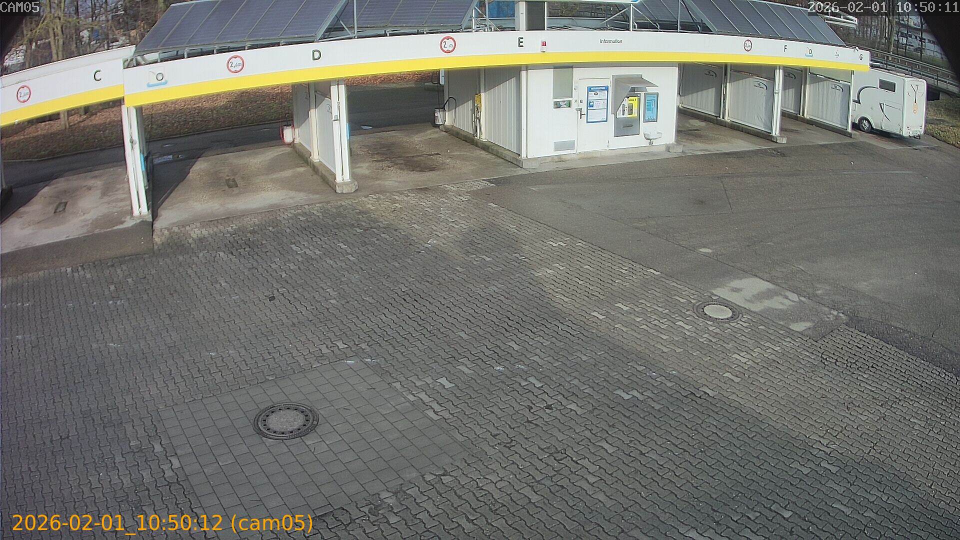 thumbnail_20260201105012