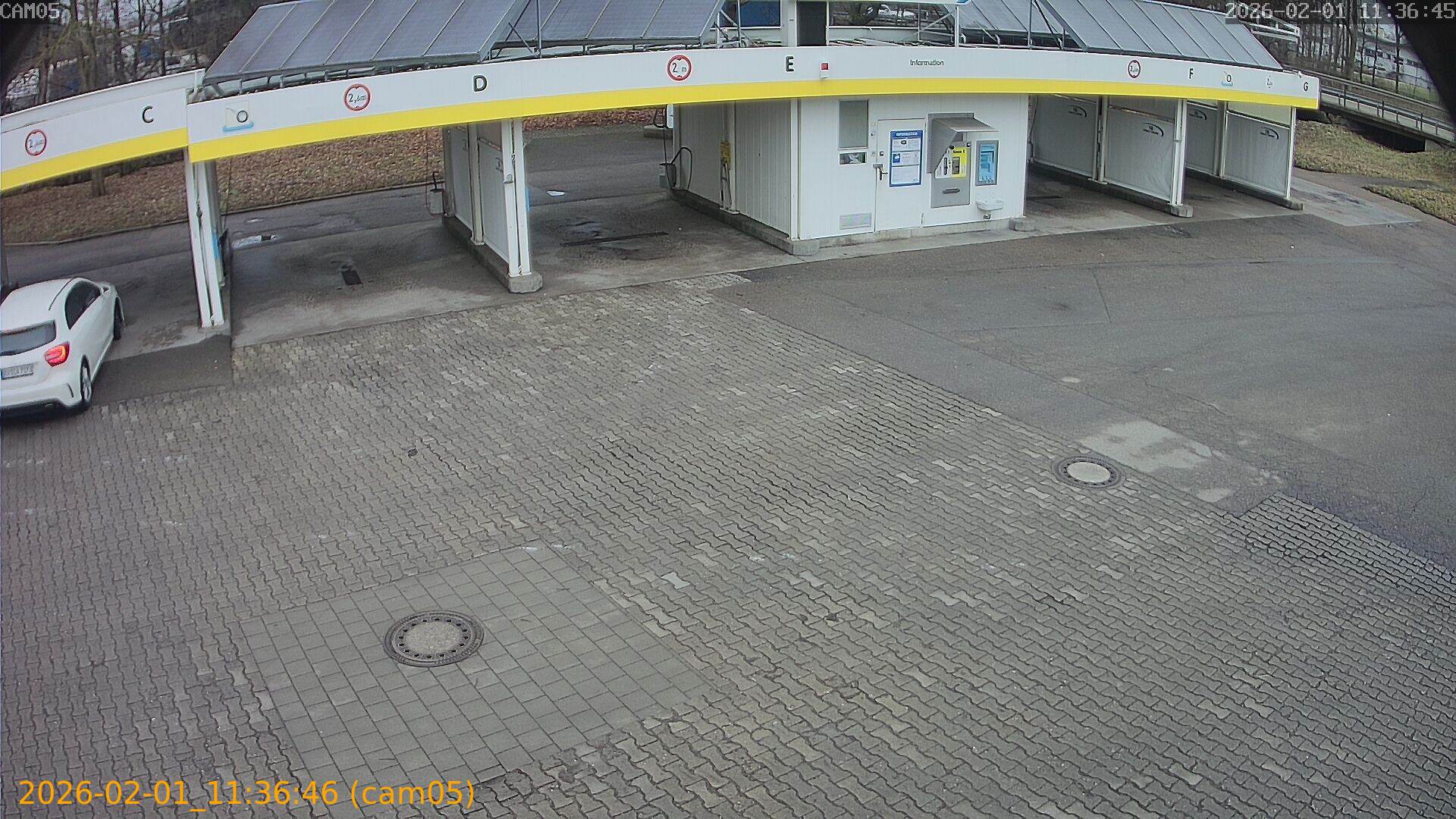 thumbnail_20260201113646