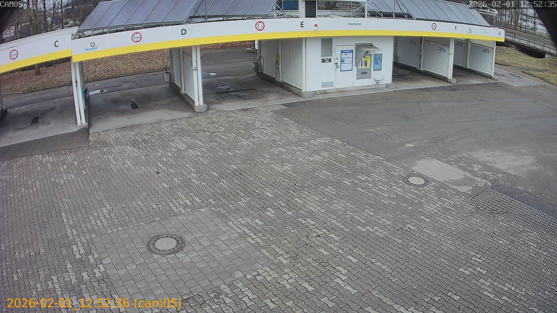 thumbnail_20260201125236