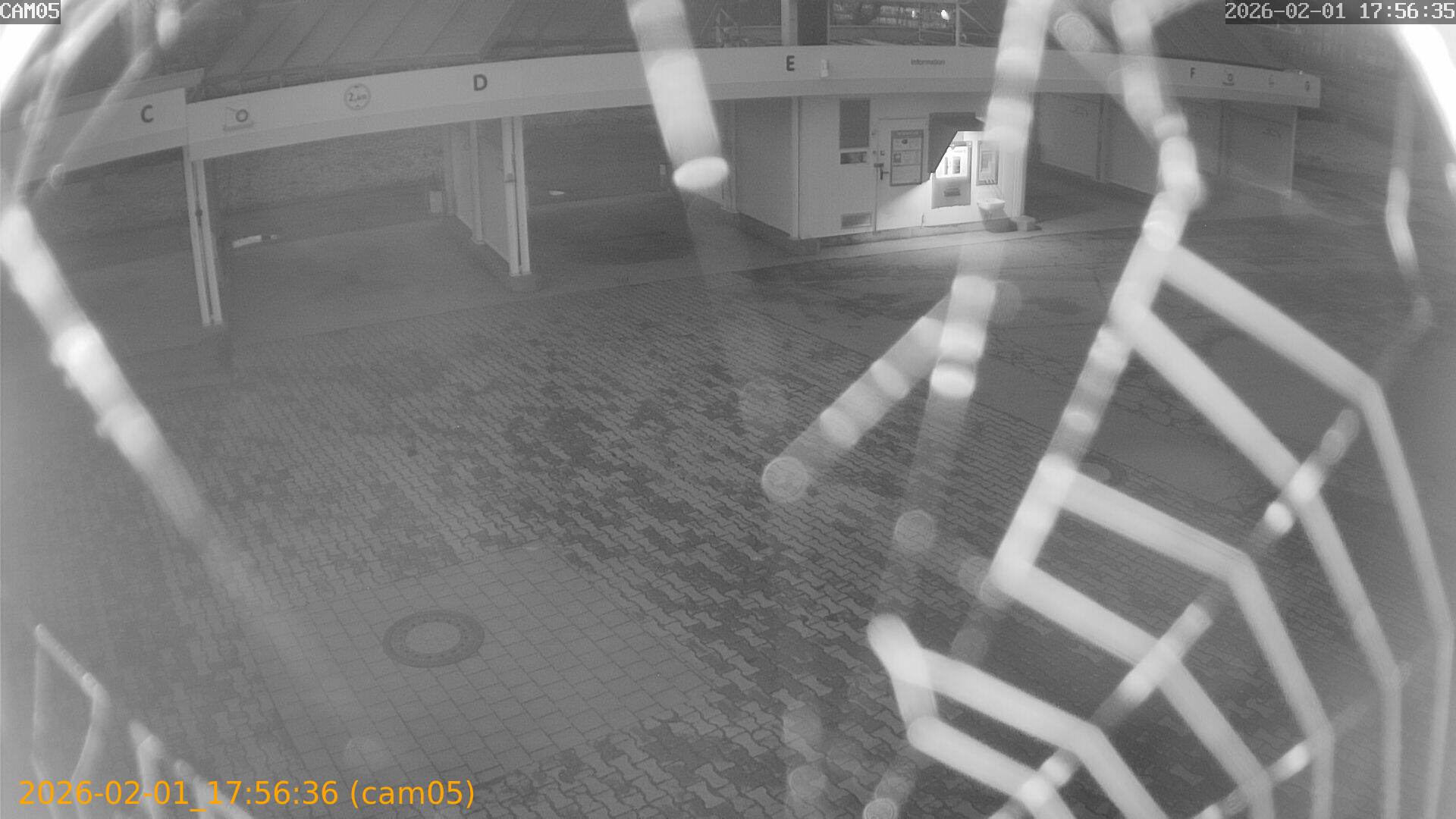 thumbnail_20260201175636