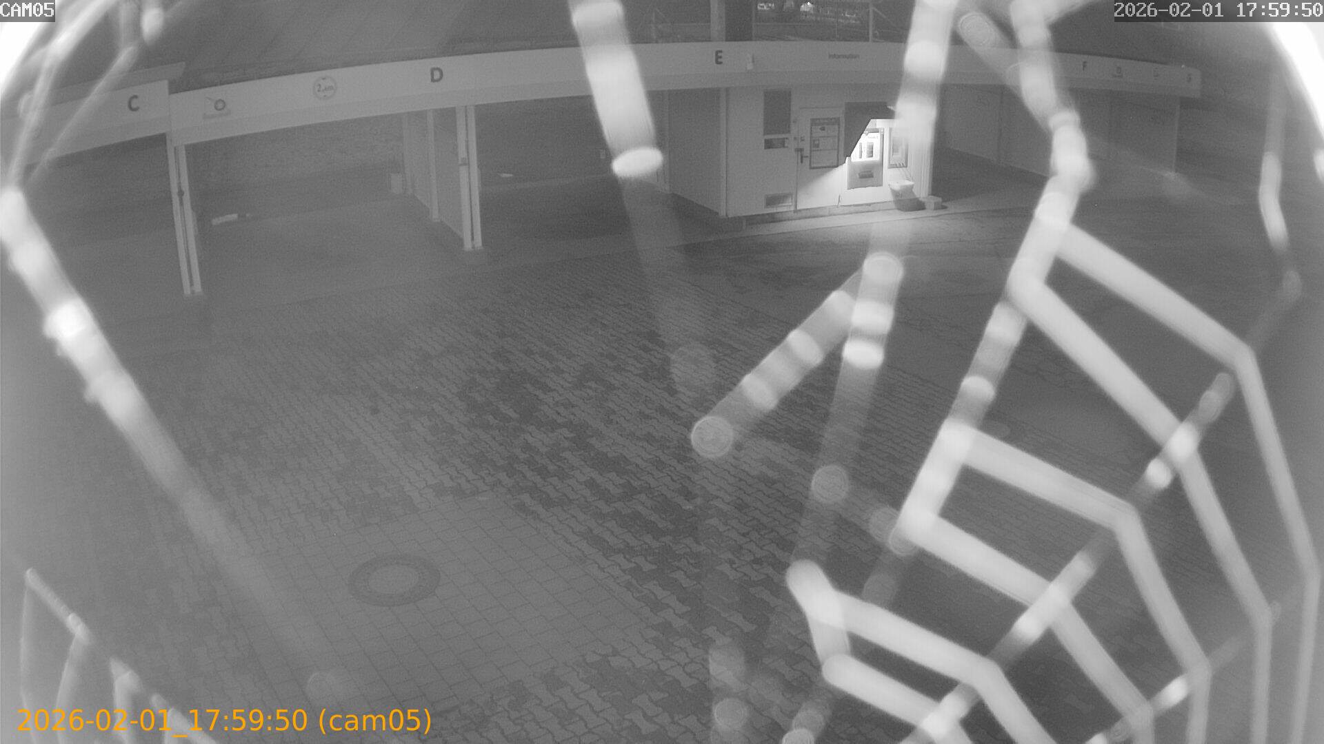 thumbnail_20260201175950