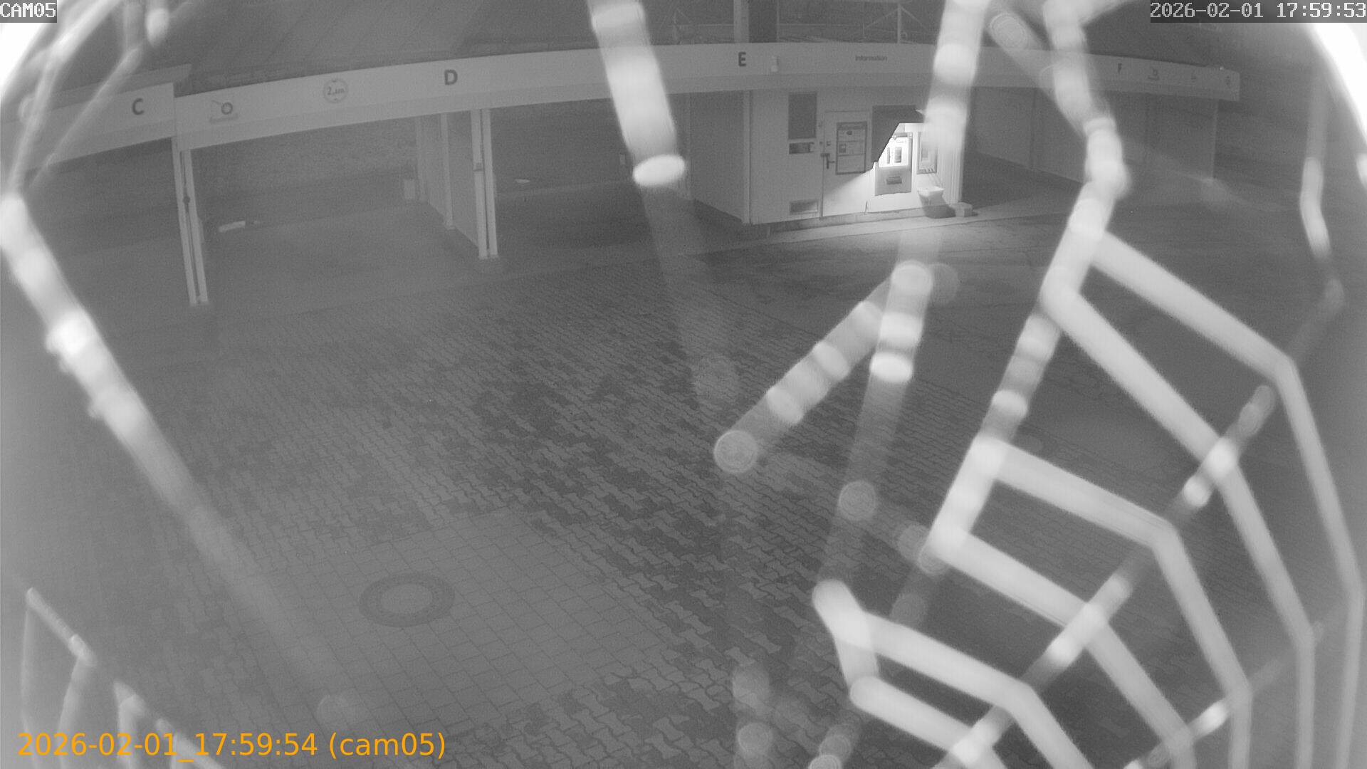 thumbnail_20260201175954