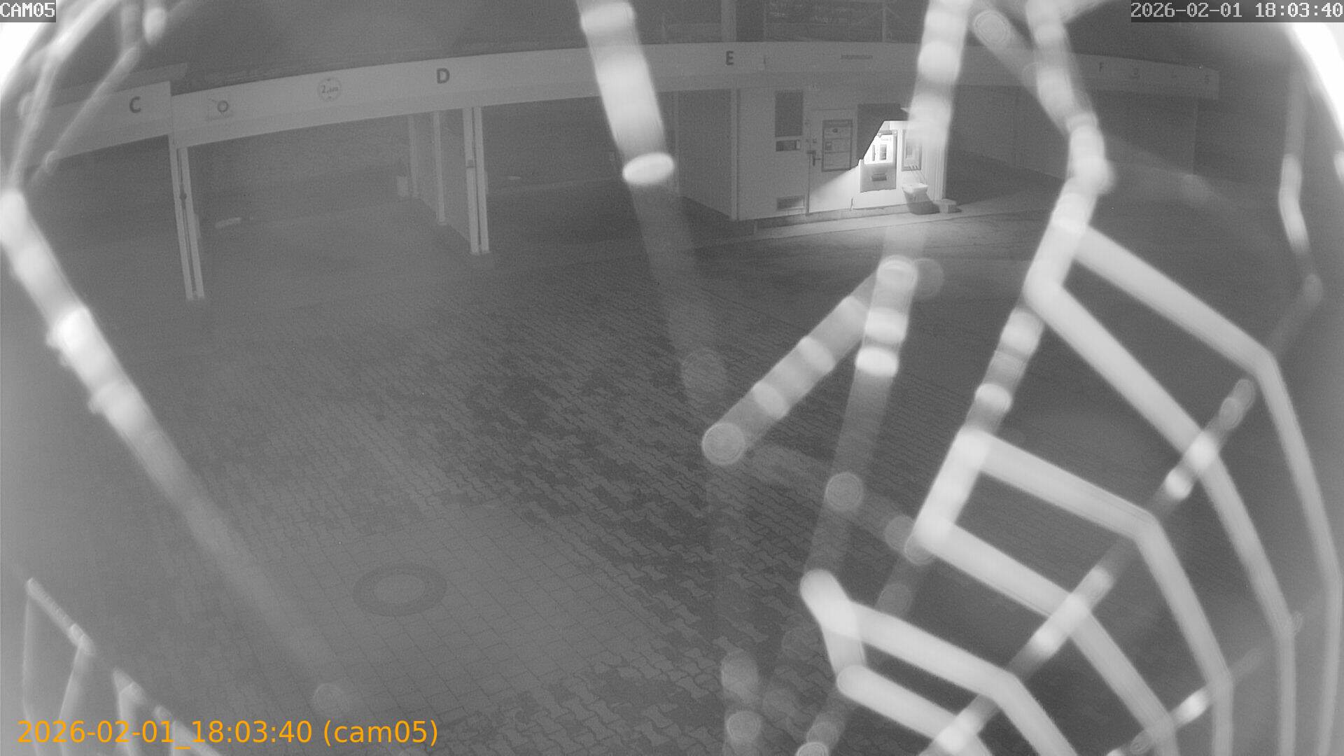 thumbnail_20260201180340