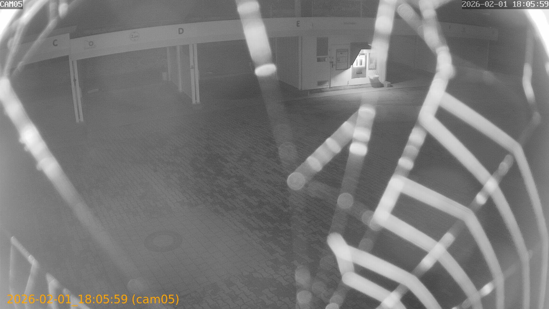 thumbnail_20260201180559