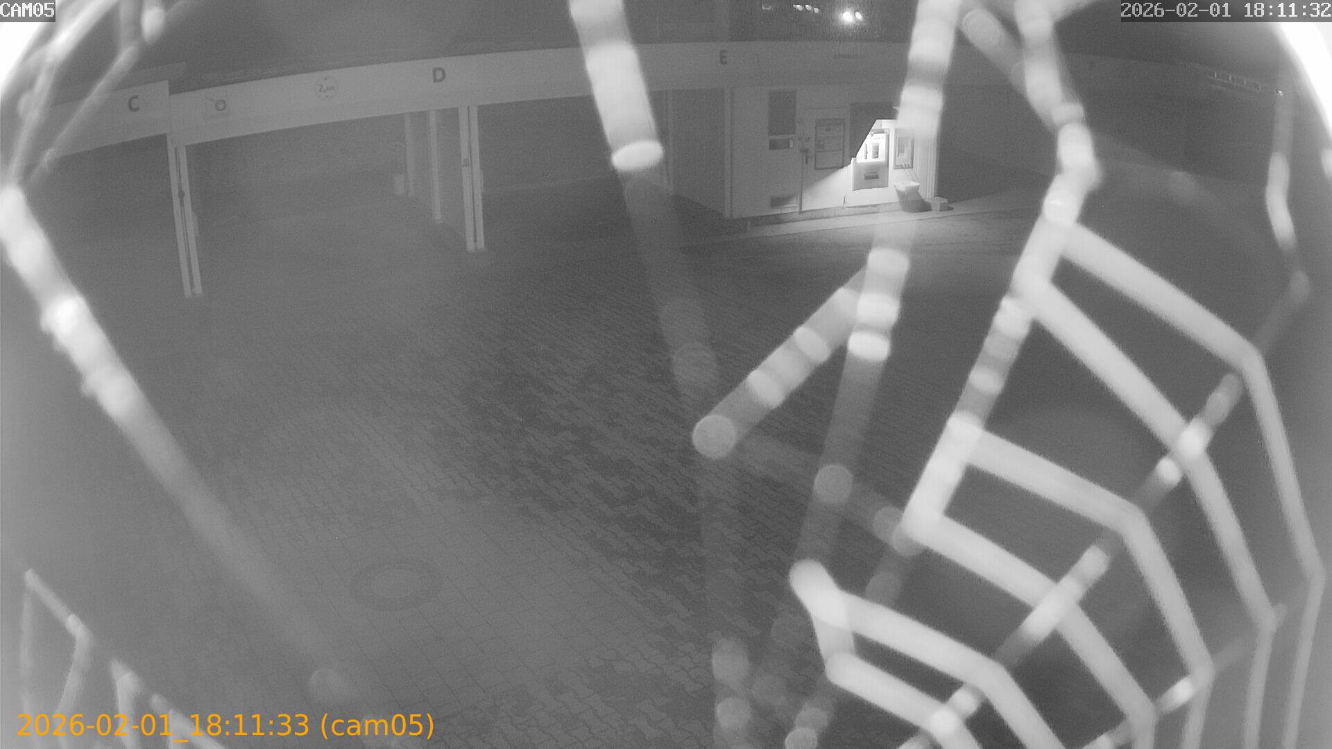 thumbnail_20260201181133