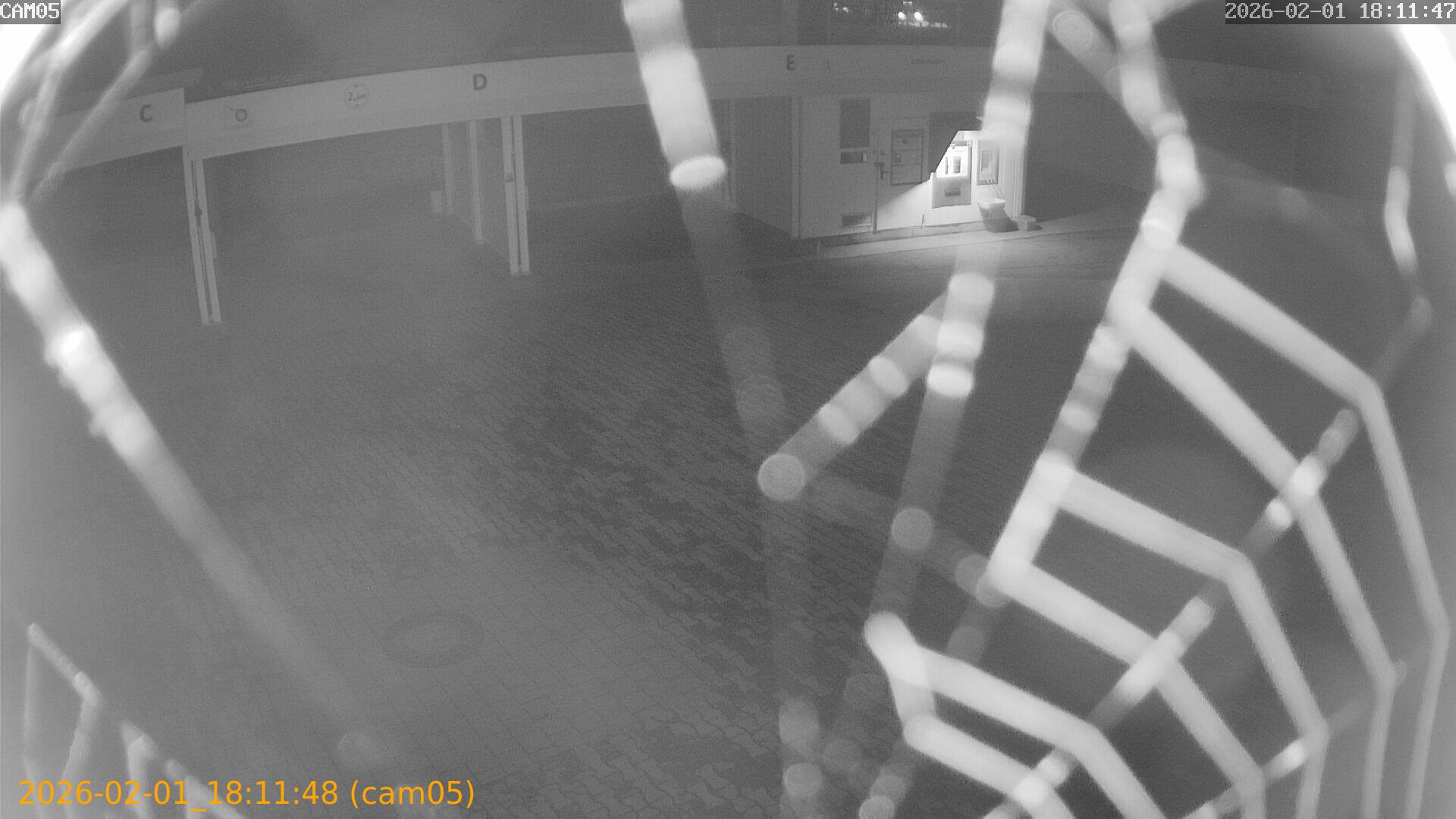 thumbnail_20260201181148