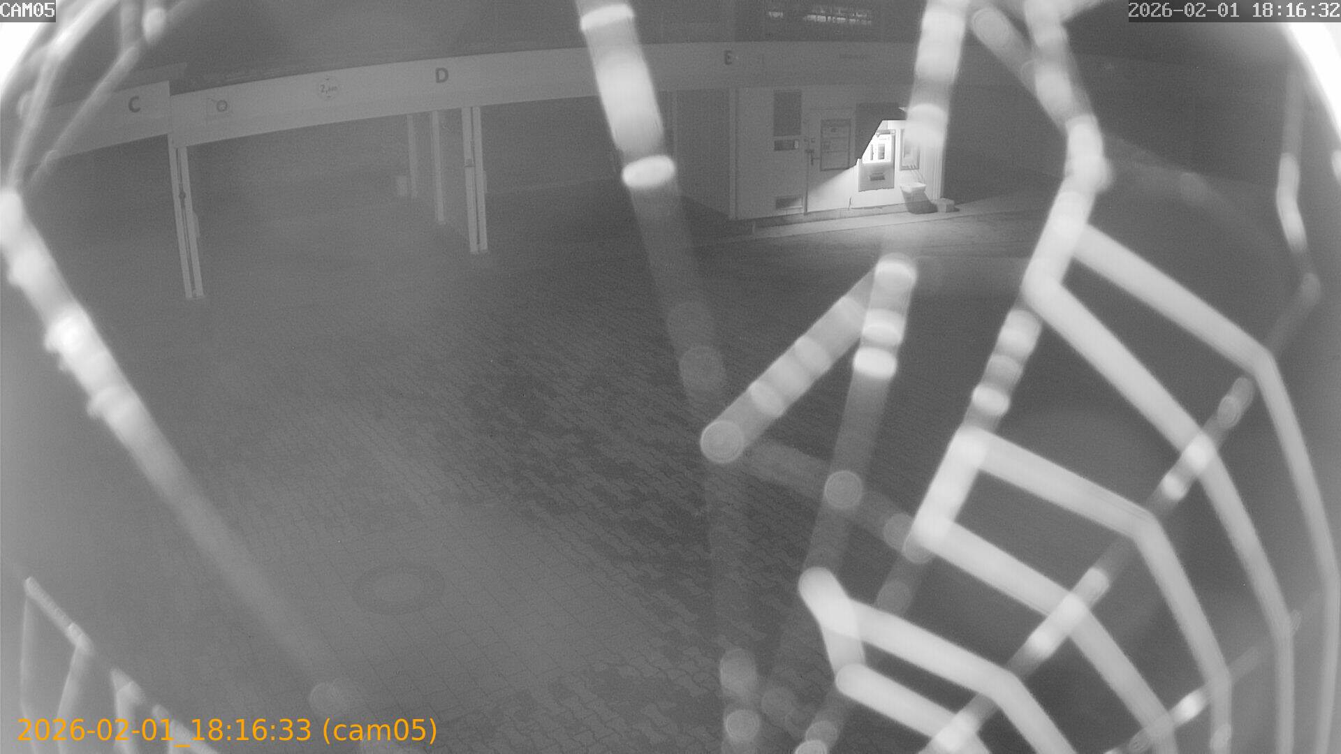 thumbnail_20260201181633