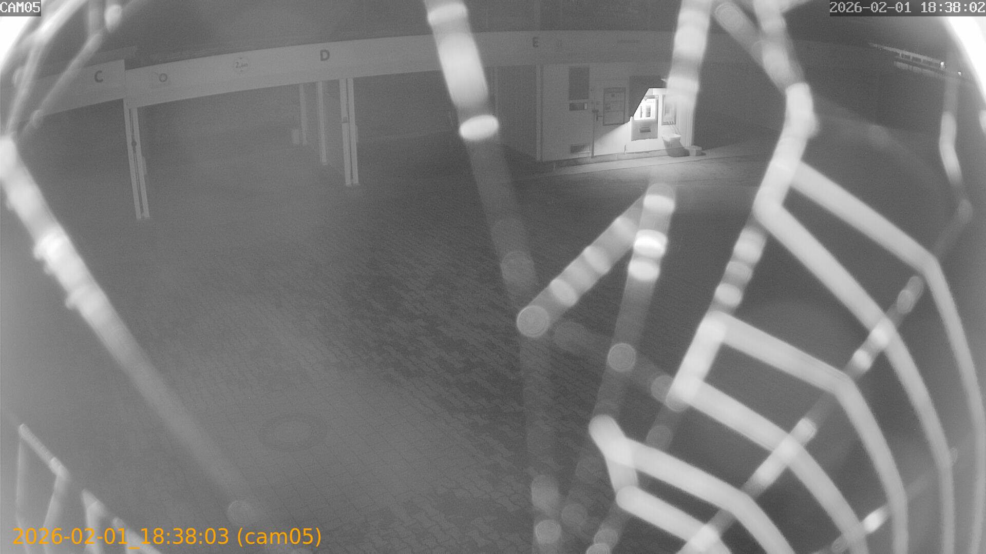 thumbnail_20260201183803