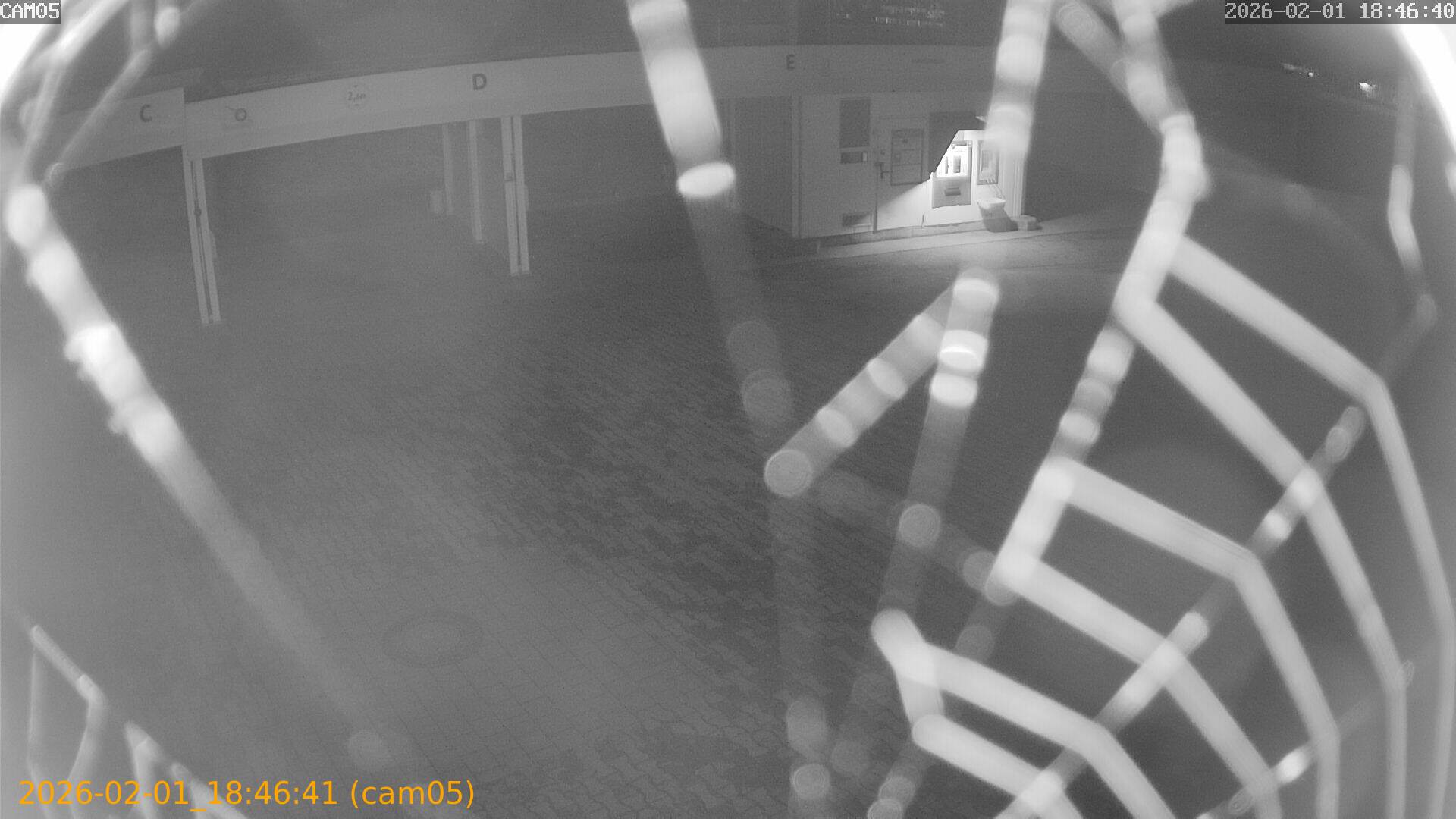 thumbnail_20260201184641