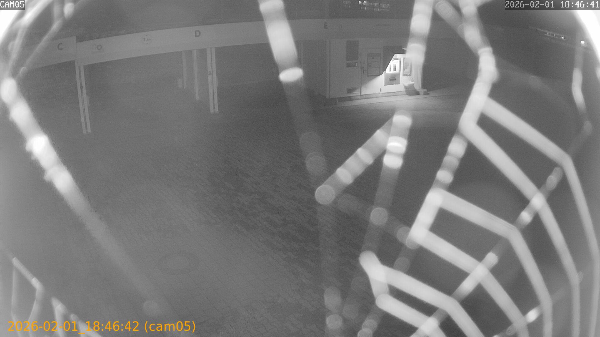 thumbnail_20260201184642