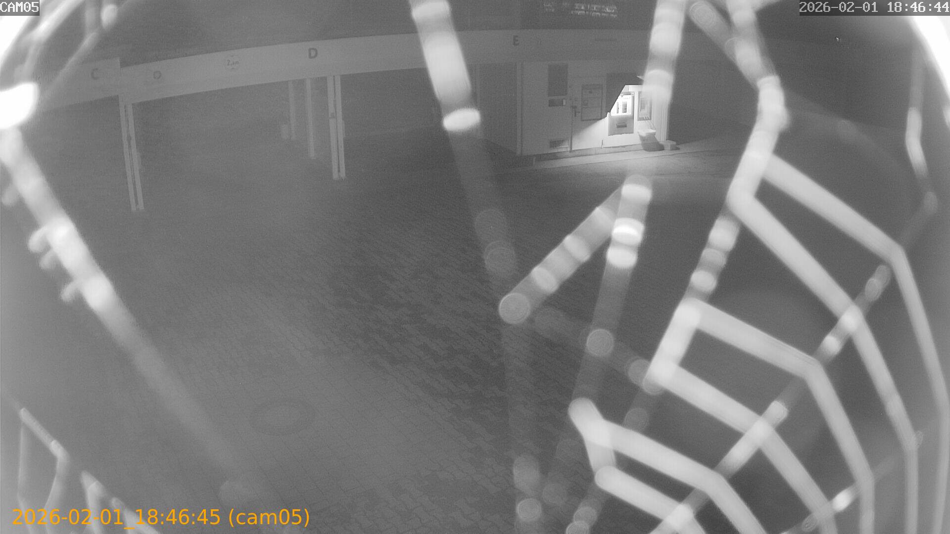 thumbnail_20260201184645