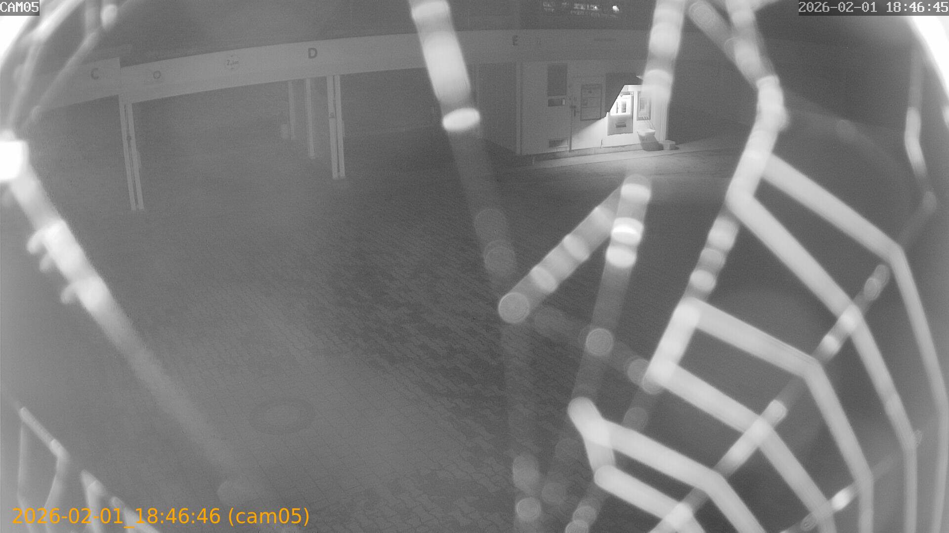 thumbnail_20260201184646